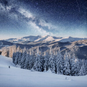 Dairy Star Trek in the winter woods. Dramatic and picturesque scene.