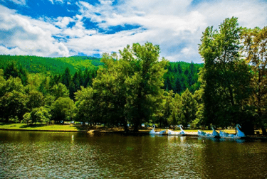 Защо почивка в Благоевград? Градът на младостта – така е познат Благоевград. Само на час път от София и в близост до АМ „Струма“, разположението му го прави изключително достъпен не само за столичани, но и за всички пътуващи към и от южната ни съседка Гърция. Благоевград е отлично място за отправна точка към различни дестинации и забележителности – Рилски манастир, Седемте рилски езера и различни маршрути в планините Рила и Пирин, Сандански, Мелник, Стобските пирамиди. Благоевград е идеалното място за отсядане с възможност за еднодневни екскурзии в различни посоки. Разположението му обаче е едно от многото му предимства. Чистият въздух, спокойствието и неповторимият дух, който носи Благоевград, са притегателната сила, довеждаща хиляди туристи тук през всички сезони на годината. Уличките с кафенетата, старинният квартал „Вароша“, прекрасните паркове, безбройните възможности за вкусна храна и среднощни емоции… Това са само малка част от причините да изберете Благоевград за своята почивка. Хижа, къща за гости или хотел Административният център на Област Благоевград предлага безброй възможности за настаняване. От бюджетните частни квартири, през семплите стаи в семейни хотелчета до удобствата и лукса на големите СПА хотели. А ако сте планинари и искате да почивате сред природата, има място и за Вас. Разположен в подножието на югозападните склонове на Рила, Благоевград се намира само на 30-тина минути път от хижите в планината, които предлагат удобно легло на ниски цени. Истината е, че където и да отседнете, топлото посрещане е гарантирано заради гостоприемството на хората от този край на България. Защо Орбита СПА Хотел? А сега за миг затворете очи и си представете място в меката прегръдка на Рила. Тишина и спокойствие. Топъл басейн сред мирис на борове. Отваряте очите си и виждате гледка, която спира дъха Ви. И всичко това само на 5 минути от центъра на Благоевград. Това е Орбита СПА Хотел. Магията на планината, шумът на дърветата и кристално чистият въздух, съчетани с модерна и уютна обстановка, правят Орбита СПА Хотел подходящ както за семейни ваканции, така и за индивидуални и бизнес пътувания, корпоративни събития, обучения и семинари. Част от комплекса е най-големият и модерен СПА център в околността, разположен на площ от 900 кв.м. СПА & Уелнес центъра предлага: ● 2 вътрешни и 2 външни басейна ● масажни студия ● финландска сауна ● билкова сауна ● инфраред сауна ● парна баня ● хамам ● ледено ведро ● просторна релакс зона с камина, фитнес ● козметична стая ● тенис корт ● ресторант с панорамна тераса ● лоби бар и витамин бар ● 2 конферентни зали ● забавления за деца Всичко това е събрано на едно място в Орбита СПА Хотел. Комфортният ресторант с панорамна тераса посреща гостите на хотела, а храната е натурална и чиста, произведена в собствени ферми. Къде да се храним? Центърът на Благоевград е осеян със заведения, ресторантчета и закусвални за хапване на крак. Възможностите да опитате нещо вкусно са безбройни, а любителите на кулинарното изкуство могат да се насладят както на традиционни български ястия, така и на храни, емблематични за различни националности. Цените също варират, в зависимост от категорията на заведението. Орбита СПА Хотел разполага със собствен ресторант, който има и външна панорамна тераса. За избралите Орбита СПА Хотел за своята почивка храната е истински празник за сетивата. За да гарантират качеството на блюдата, които се сервират в Орбита СПА Хотел и за да носят те удоволствието, което гостите очакват, голяма част от продуктите тук са собствено производство. Хотелът разполага със собствени ферма, мандра, колбасарски цех, пивоварна и пекарна. Над 60 вида са продуктите собствено производство - свинско, телешко, агнешко месо, птици и дивеч, колбаси и деликатеси, мляко и млечни продукти, яйца, мед, сладка, конфитюри, горски чайове и билки. А занаятчийската бира ще удовлетвори и най-взискателните почитатели на тази напитка. Къде да се забавляваме? Благоевград е дом на два университета – ЮЗУ „Неофит Рилски“ и Американски университет в България. Хилядите млади хора, които живеят тук, до голяма степен определят ритъма на живот в града. В парка или на басейн, през деня веселите им компании допринасят за неповторимия дух на Благоевград. Вечер кафенетата по централните улички поставят началото на незабравими нощни емоции. Едва ли някой може да каже колко точно са нощните клубове и дискотеките в Благоевград, но те са мястото за среща с приятели, свежо питие и танци под звуците на любимата музика. Пеещите фонтани на площад „Георги Измирлиев“ създават приятна прохлада в летните горещини, а зимата тук е разположено празнично градче от дървени къщички, които привличат минувачите с вкусна скара и ароматно вино. Парковете на Благоевград са зелените острови, предлагащи прекрасно място за разходки, спорт и забавления. Най-големият парк – Бачиново, е свързан с Благоевград посредством „Алея на здравето“, която следва течението на река Бистрица. В самия парк се намира голямо езеро, което е известно с многобройните патици и лебеди, плуващи спокойно в кристално чистите му води. Парк Бачиново предлага и още забавления за малки и големи. Въжен парк и зоокът са на разположение на посетителите целогодишно, а през топлите дни може да покарате водно колело във формата на лебед сред пернатите обитатели на езерото. Почитателите на планинското колоездене могат да се възползват от 4 писти, намиращи се в близост до Благоевград, а пролетните месеци предоставят идеална възможност за любителите на силните усещания – това е най-подходящият период за рафтинг по течението на река Струма. Само на 5 километра от Благоевград се намира и чудесна конна база. Там можете да получите първите си уроци по езда или просто да се разходите наоколо с новите Ви четириноги приятели. През летните месеци можете събирате тен на басейните на Орбита СПА Хотел, а зимата е мека в самия Благоевград и същевременно снежна и красива много близо до него. Само на 30 км се намира ски център „Картала“, предлагащ фрийрайд и всички зимни спортове за начинаещи и напреднали. На почивка с деца? Благоевград е прекрасно място за деца – тихо, сигурно и с чист въздух. До късно вечер през летните месеци градските площади и улички са огласени от детски глъч. Децата Ви ще тичат на воля или ще карат колело, докато Вие спокойно пиете кафето си на площад „Македония“. Обособената огромна пешеходна зона в централна градска част дава възможност за часове в разходки и игри с приятели. Безбройни са детските кътове и площадките на открито, които очакват своите малки посетители. Орбита СПА Хотел пък е идеалното място за отсядане на семейства с деца. Разположението на хотела сред ниските склонове на Рила планина, с тяхната природа и чист въздух, е първото доказателство за това. За най-малките гости на хотела има атрактивни детска съоражения, които са сертифицирани за безопасност, закрит детски басейн, и зала за игри. През топлите месеци на тяхно разположение е и басейн на открито с детска зона и много място за весели игри с топка, федербал или колело. Освен това, наблизо се намира и парка Бачиново, който предлага още забавления за малки и пораснали деца. За малките палавници СПА центърът на Орбита СПА Хотел предлага детски масажи, а ресторантът - атрактивно меню, отговарящо на най-високите стандарти за здравословно и разнообразно хранене на малчуганите. Екскурзии и активности АМ „Струма“, която минава край Благоевград, е основното трасе за пътуващите към слънчевите плажове на южната ни съседка. Два часа е пътят с кола до курортите в северната част на Гърция и тъкмо затова много от местните жители често правят еднодневни плажове там. Не са малко и гостите на Благоевград, които отсядат в града и през деня пътуват до Гърция, за да се порадват на морето. Благоевград е идеалното място за кратък отдих и за уморените от път чуждестранни туристи, отправили се към Гърция. Географското положение на Благоевград го прави изключително подходящ като начална точка за различни еднодневни екскурзии до природни и исторически забележителности в Югозападна България. Само на 40 км от тук се намира най-големият манастир на Балканския полуостров – Рилски манастир. Рилския манастир е един от най-значимите културни паметници в България, символ на страната ни. Рилския манастир е включен в списъка за световното наследство на ЮНЕСКО. Рилски манастир е основан през Х век от Св. Йоан Рилски Чудотворец и всяка година посреща милиони туристи от цял свят. На връщане от Рилския манастир, можете да отбиете към село Стоб, където се намират едни от най-популярните скални пирамиди в България – Стобските пирамиди. Южната перла на Югозападна България – град Сандански, е само на 60 км от Благоевград. Наречен е с името на известния български революционер Яне Сандански. В района на Сандански се смята, че е роден и живял водачът на най-голямото въстание в древността Спартак от тракийското племе меди. Паметникът на Спартак е един от символите на града. Още малко на юг от Сандански се намират местността Рупите и храмът на Ванга. Според местните жители мястото носи изключително силен заряд, а горещите минерални извори наоколо го правят още по-атрактивно. В района е и най-малкият град в България, Мелник, и разположеният в непосредствена близост Роженски манастир. За любителите на природата има пряка пътека от Мелник към Роженския манастира, която минава през природния феномен Мелнишки пирамиди. Мелник е изходна точка за хижа „Пирин“ и хижа „Малина“, които се намират в Пирин планина. Роженският манастир е средновековен манастир, най-големият в Пиринска Македония. Благоевград е изключително подходящ и като отправна точка към Седмете рилски езера. За по-малко от час почитателите на планината ще стигнат до началната станция на лифта, който ще ги качи до хижа „Рилски езера“. От хижата започва едно незабравимо приключение с гледки към Долното езеро, Рибното езеро, Трилистника, Близнака, Бъбрека, Окото, Сълзата. Само на 30 км от Благоевград пък се намират ски-парк „Картала“ и биосферен резерват „Парангалица“. Там е и един от входовете към Национален парк Рила. И като заговорихме за планини, на 40 км от Благоевград е проходът Предела, който разделя Рила и Пирин. Световно известният планински курорт Банско е на 60 км от Благоевград и посреща своите посетители с възрожденската си архитектура, калдъръмени улички и автентична кухня. Долината на река Струма е един от регионите у нас, утвърдени в производството на грозде и вино. Ако сте почитатели на виното може да направите кратка екскурзия от Благоевград до някоя от винарските изби наоколо, където ще може да дегустирате различни сортове вино и да се запознаете с пътя на тази напитка от лозето до бутилката. Благоевград предлага и редица забележителности, които можете да посетите в самия град или доста близо до него. Една от тях е крепостта в близкото село Дренково, която с разкопките си разказва приказки за античната технология на винопроизводството. В самия град Ви очакват старинният квартал „Вароша“, парк „Ловен дом“, зоопарк Благоевград, православен мемориален комплекс „Памет и вяра“ и още музеи, църкви, галерии. Всеки, посетил веднъж Благоевград, остава влюбен в него. И се връща отново – независимо от сезона. Заради спокойствието и чистия въздух, заради природните и исторически забележителности, заради вечно младия дух. Това е Благоевград и той Ви очаква!