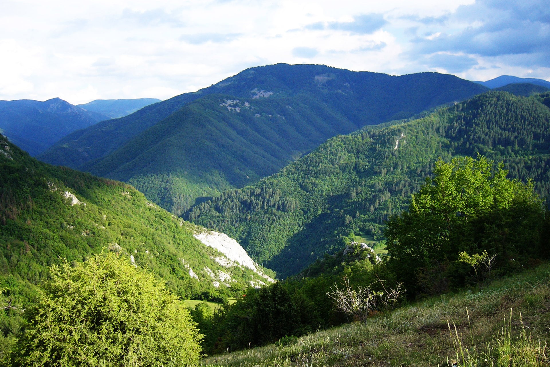 Защо чуждестранните туристи са привлечени от нашите планини и обслужване? zapadni rodopi