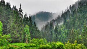 Какво влияние оказва планината върху хората? Какво влияние оказва планината върху хората? gora