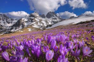 Какво влияние оказва планината върху хората? Какво влияние оказва планината върху хората? maluovitsa