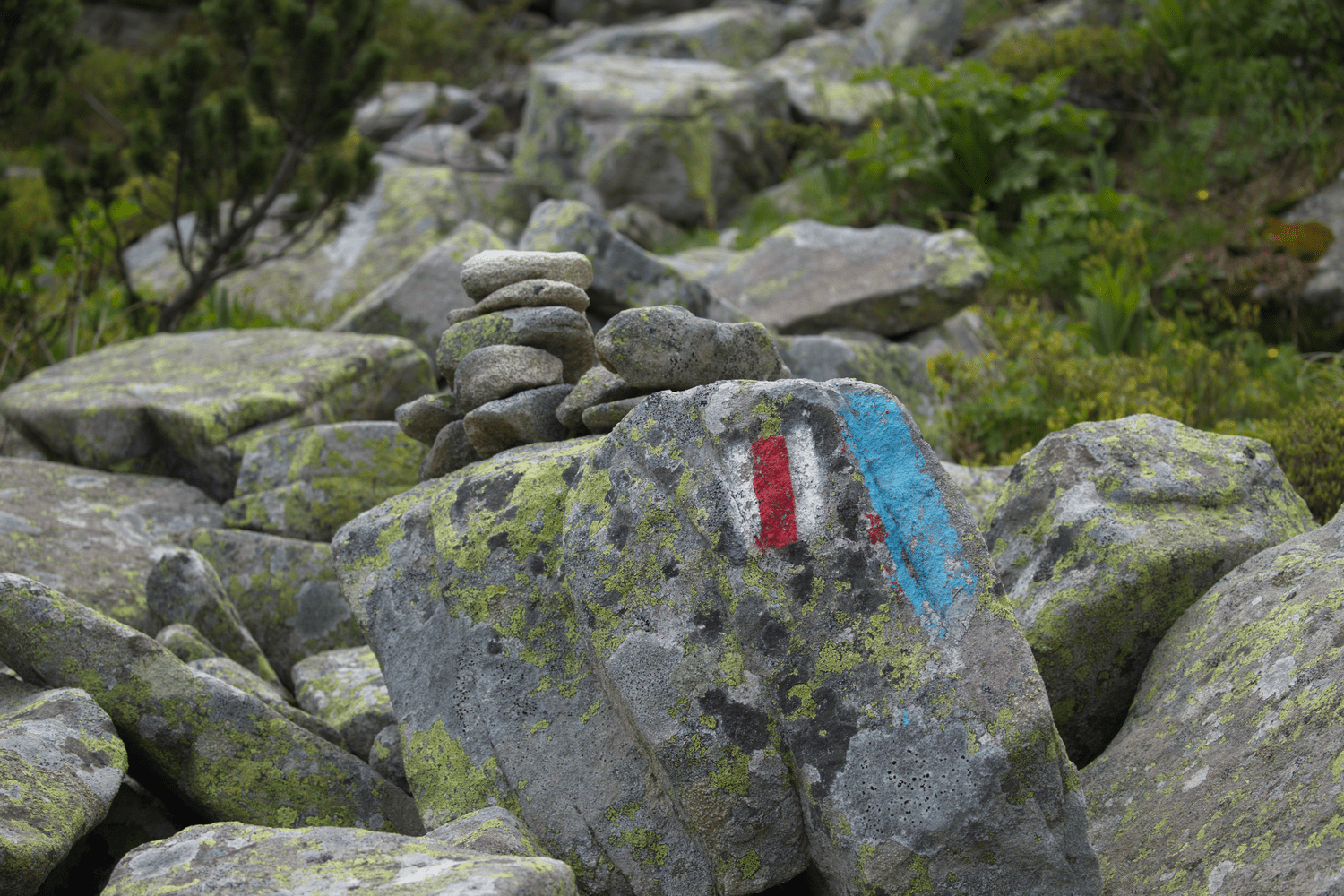 Избор на маршрут през различните сезони - какво трябва да знаем и за какво да внимаваме? markirovka
