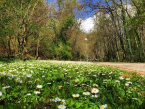 Парк Бачиново край Благоевград Парк Бачиново край Благоевград aleyata