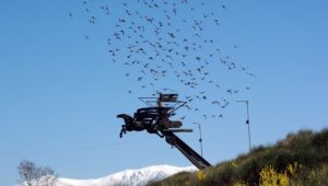 Културна история и културни забележителности в Благоевград и околността Културна история и културни забележителности в Благоевград и околността letqsht kon izhod blagoevgrad4