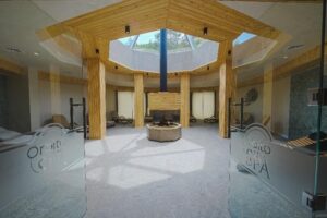 Нова година в Орбита СПА Хотел orbita_spa