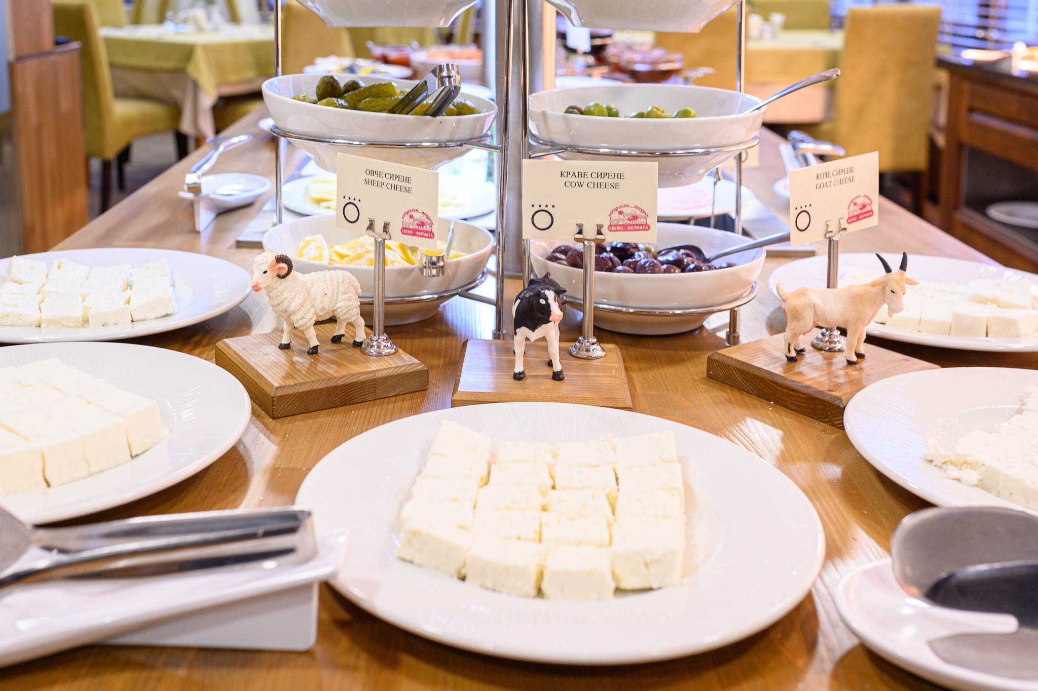 Ресторант - СПА Хотел Орбита, Благоевград