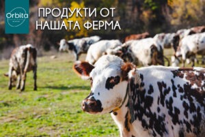 Какви са ползите от консумацията на еко месо и млечни продукти, собствено производство Какви са ползите от консумацията на еко месо и млечни продукти, собствено производство blog 1 1