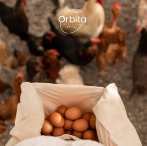 Домашните яйца - природен извор на здраве и вкус в Орбита СПА Хотел Домашните яйца - природен извор на здраве и вкус в Орбита СПА Хотел orbita eggs 2