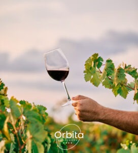 10 ползи за здравето от консумацията на вино 10 ползи за здравето от консумацията на вино orbita wine 2