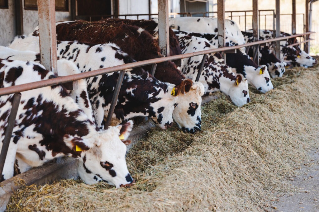 Вкусно Вкусно photo 0022 1