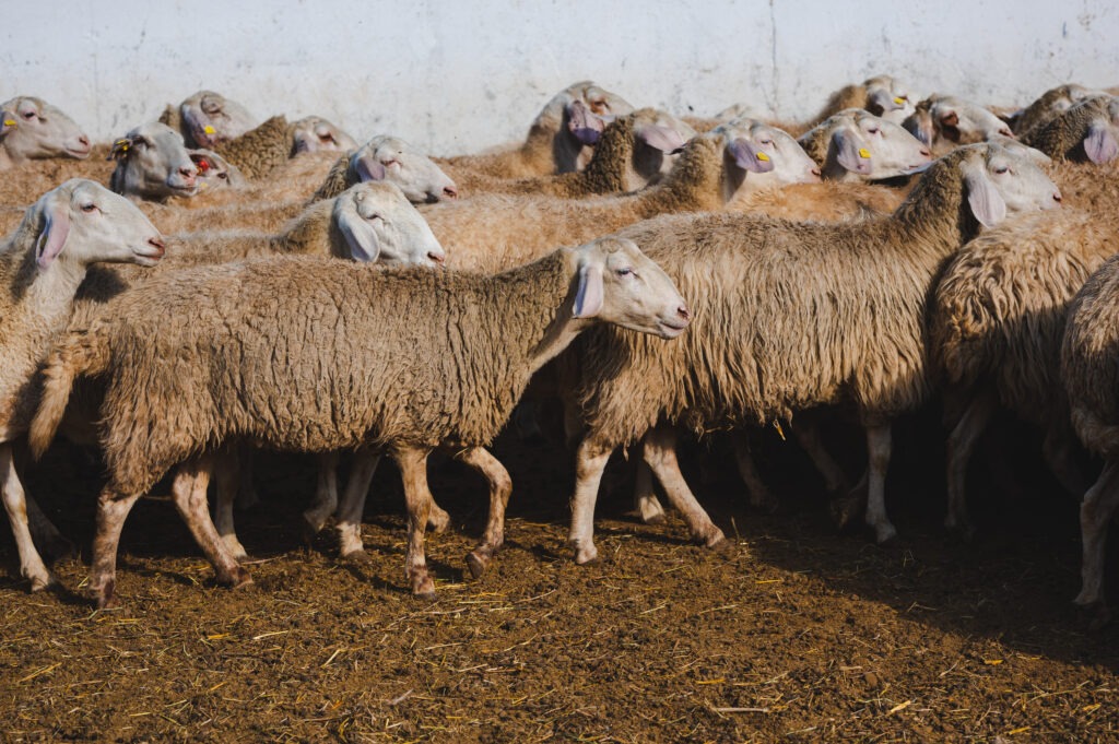 Вкусно Вкусно photo 0040