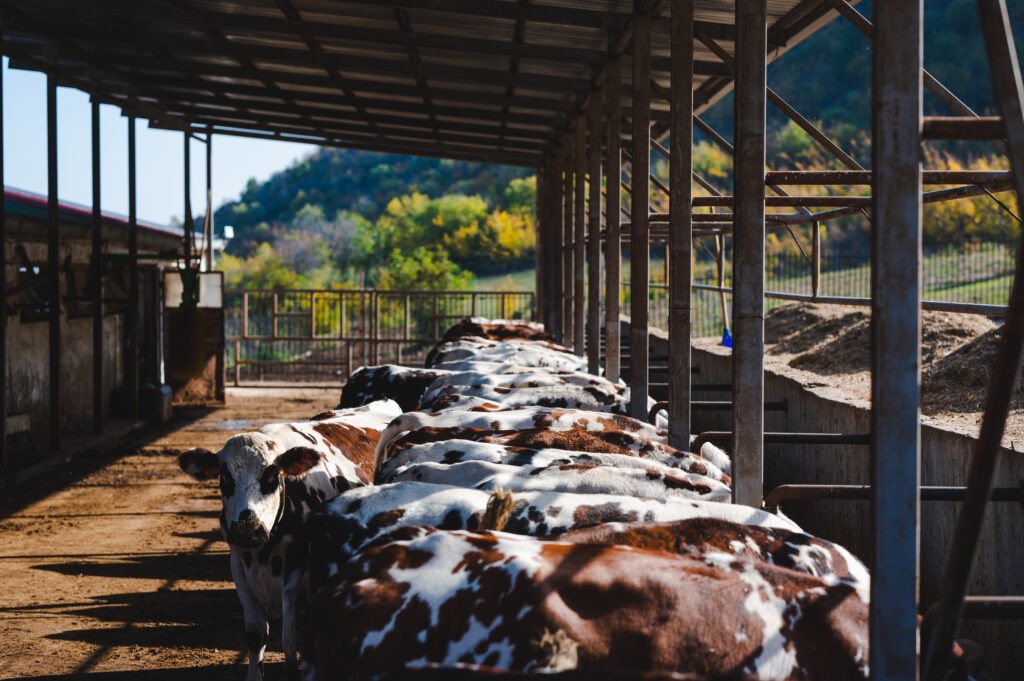 Вкусно Вкусно photo 0056 3